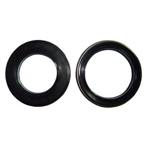 Dodson Gr6 Input Shaft Seals (Pair) | DMS-7924