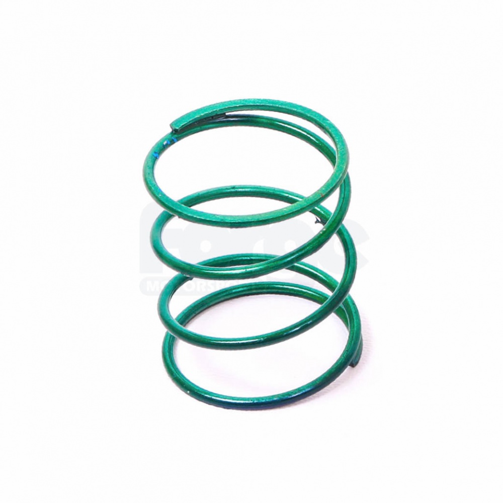 Dump Valve Spring (Single) | Forge